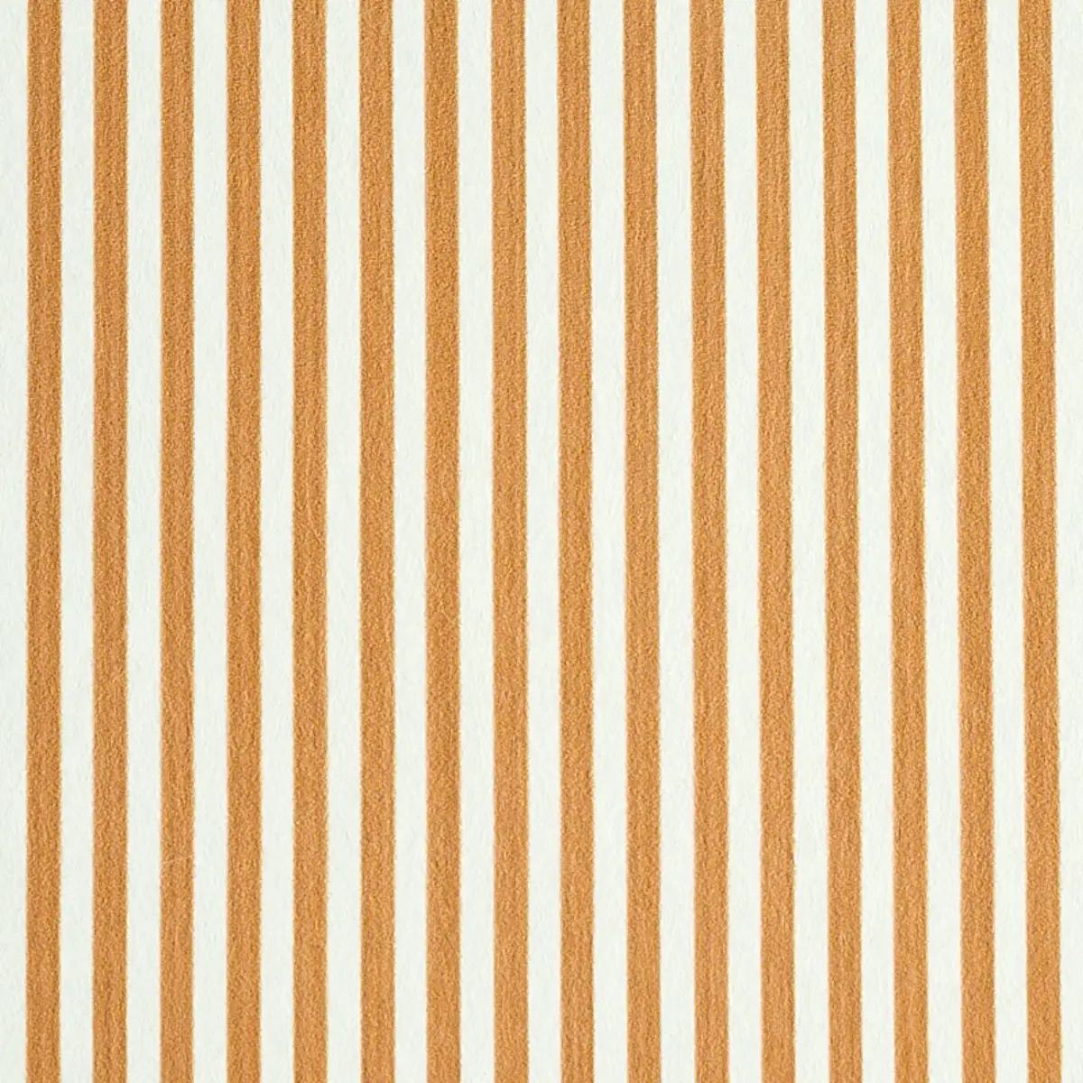 Checks and Stripes by Schumacher 5011873
