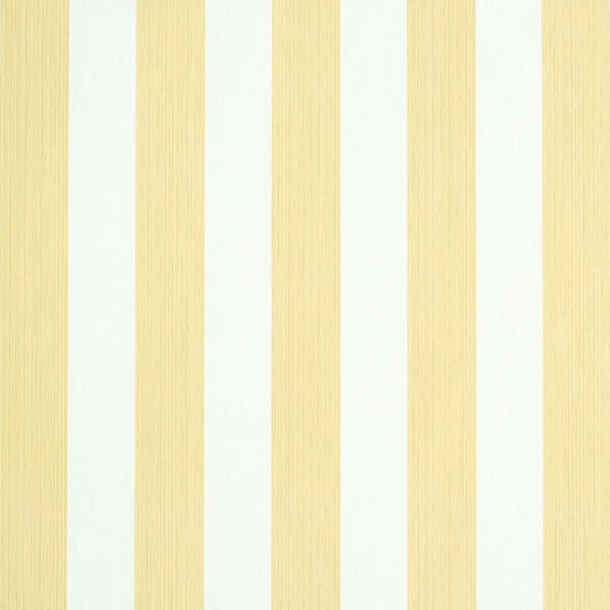 Checks and Stripes by Schumacher 5011890