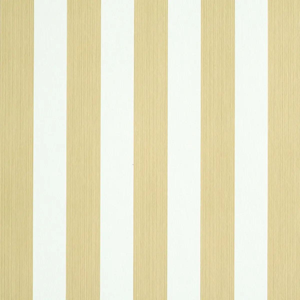 Checks and Stripes by Schumacher 5011891