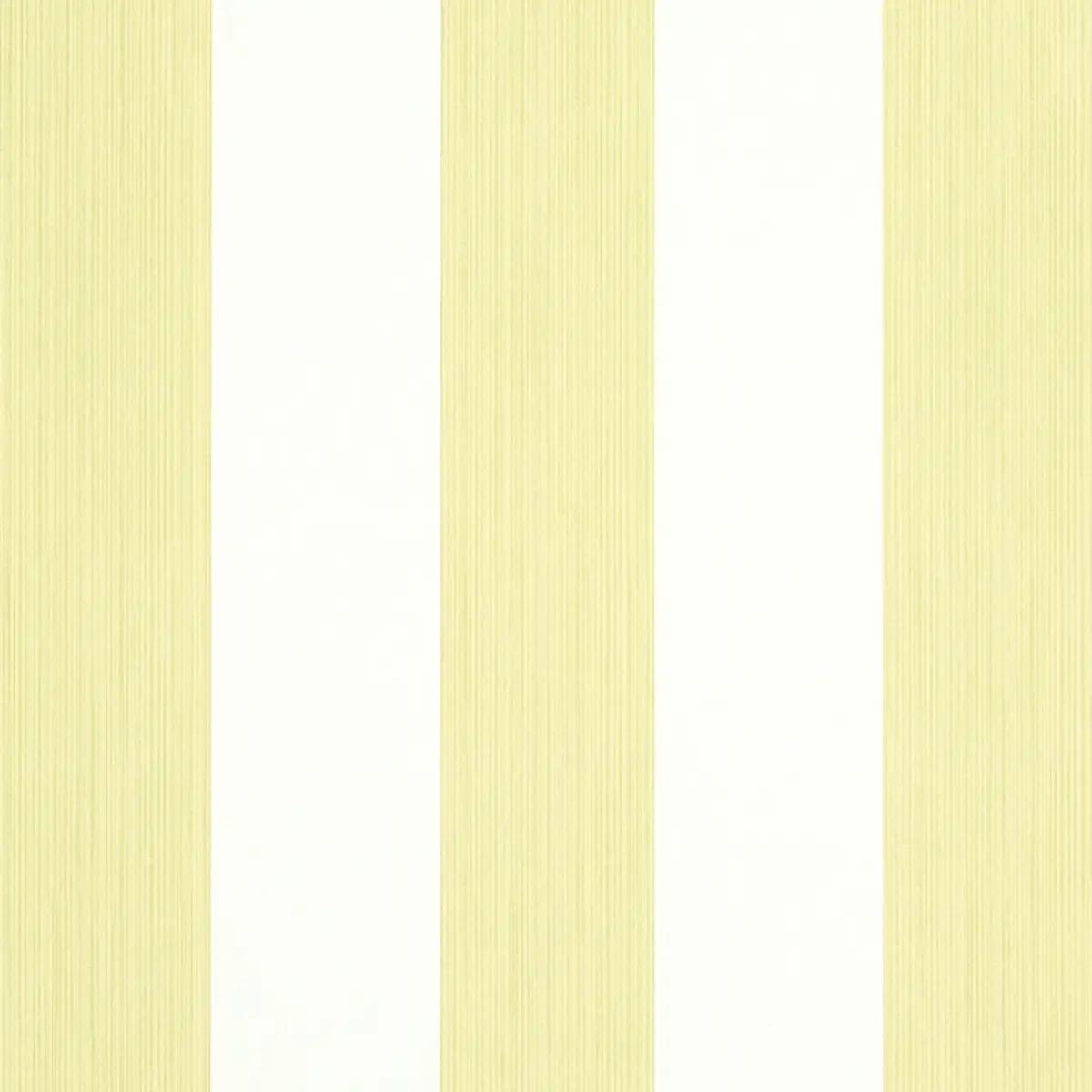 Checks and Stripes by Schumacher 5011908