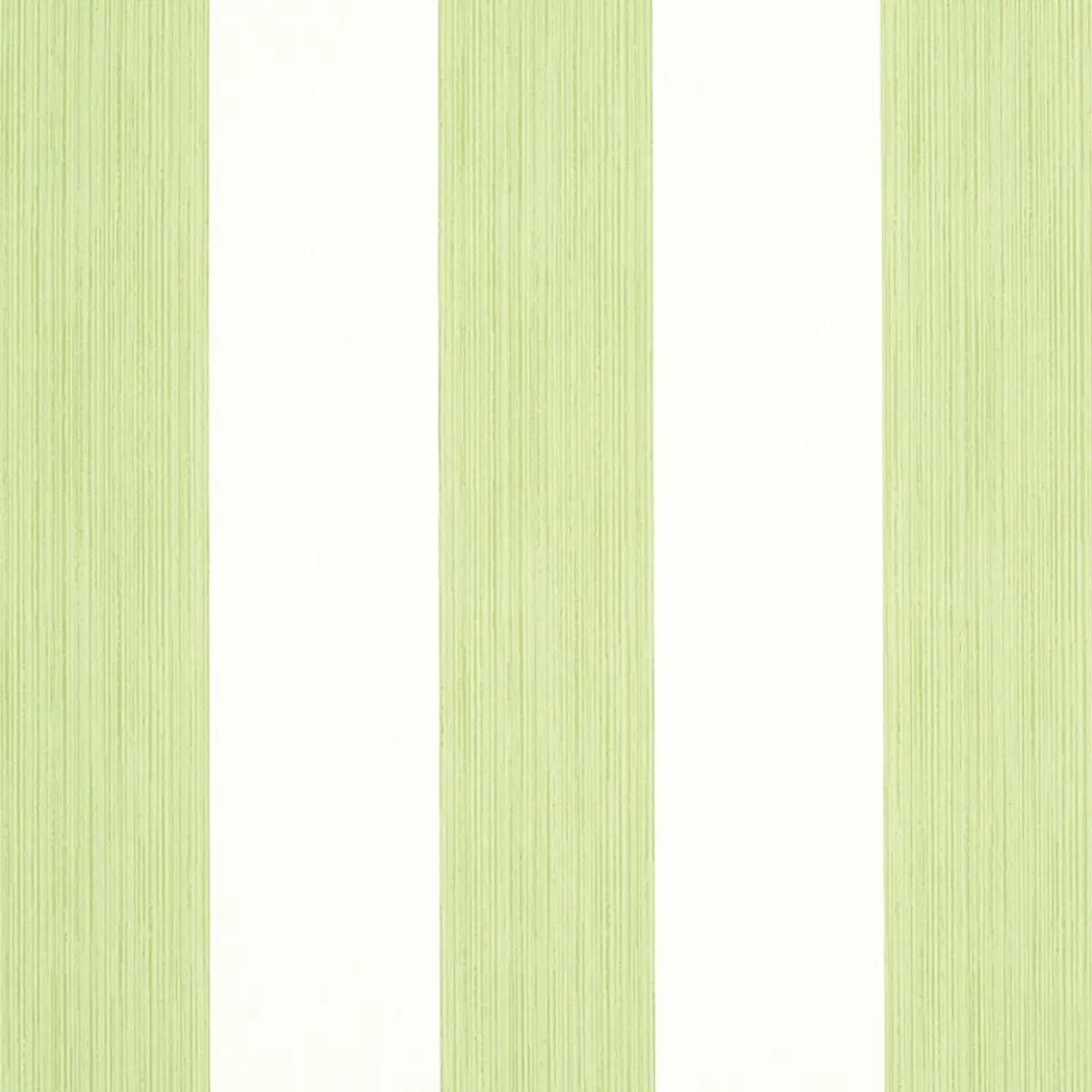Checks and Stripes by Schumacher 5011909