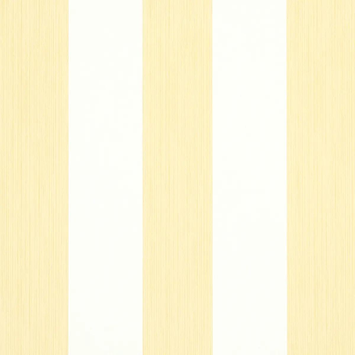 Checks and Stripes by Schumacher 5011910