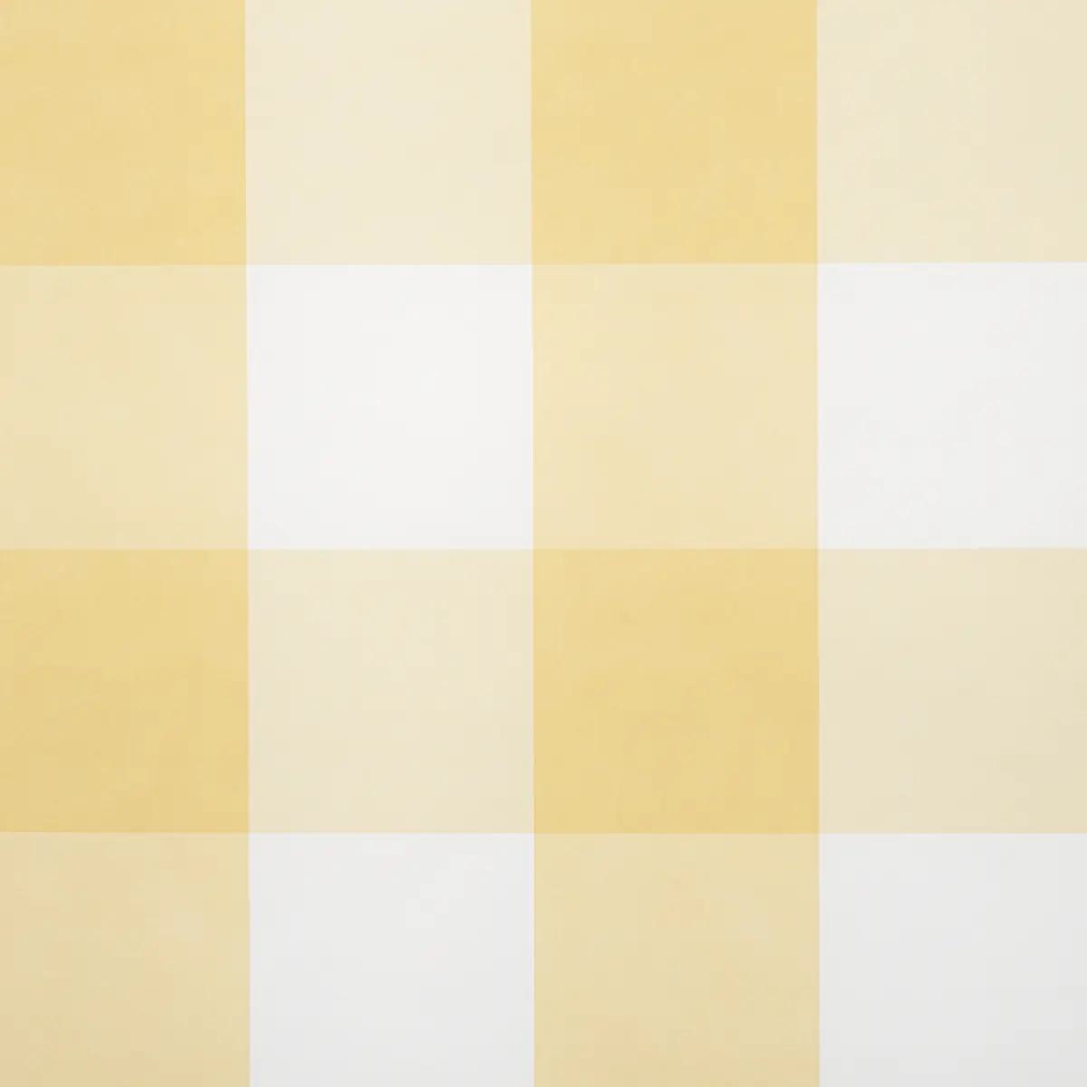 Checks and Stripes by Schumacher 5012353