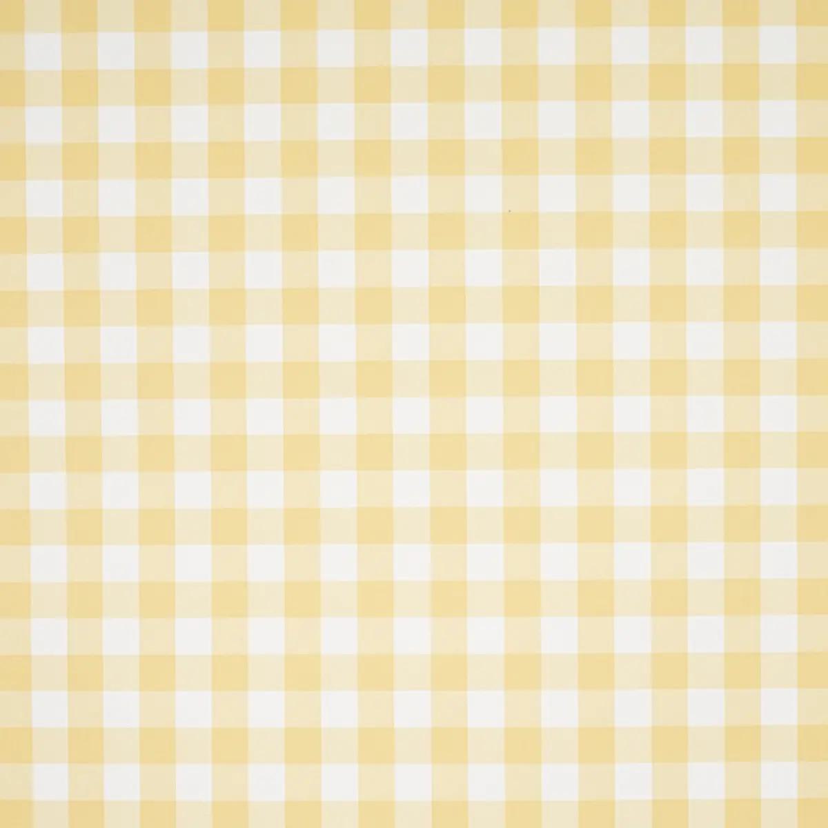 Checks and Stripes by Schumacher 5012363