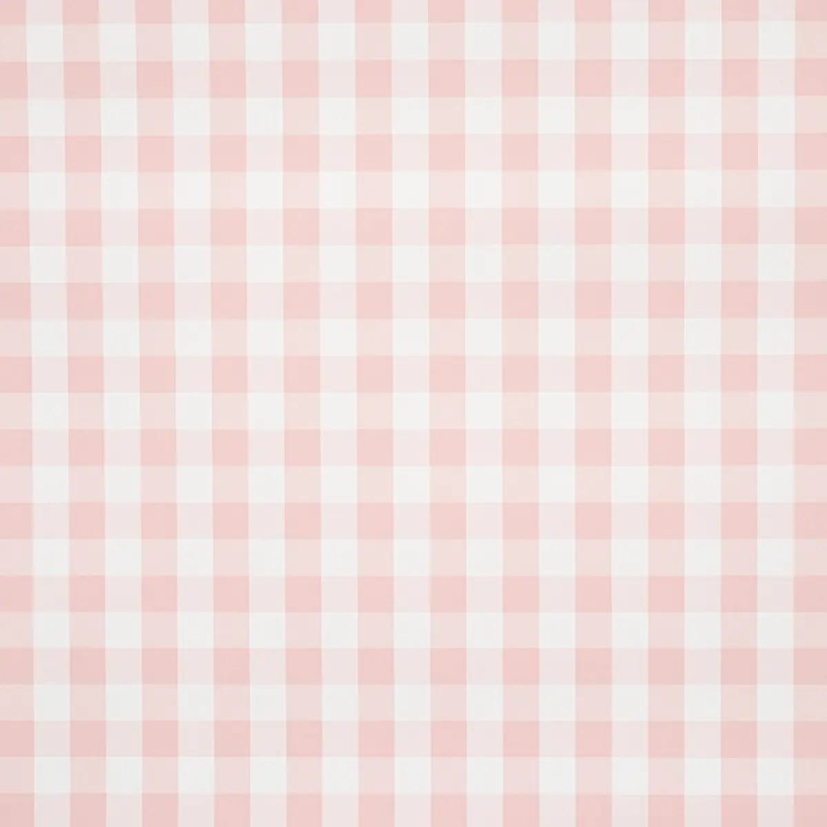 Checks and Stripes by Schumacher 5012364