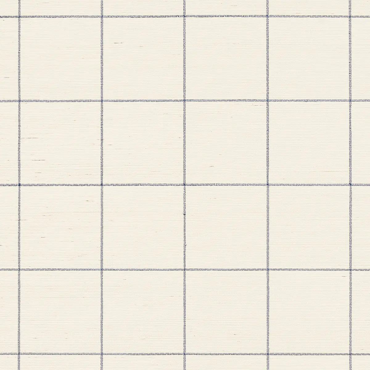 Checks and Stripes by Schumacher 5015200