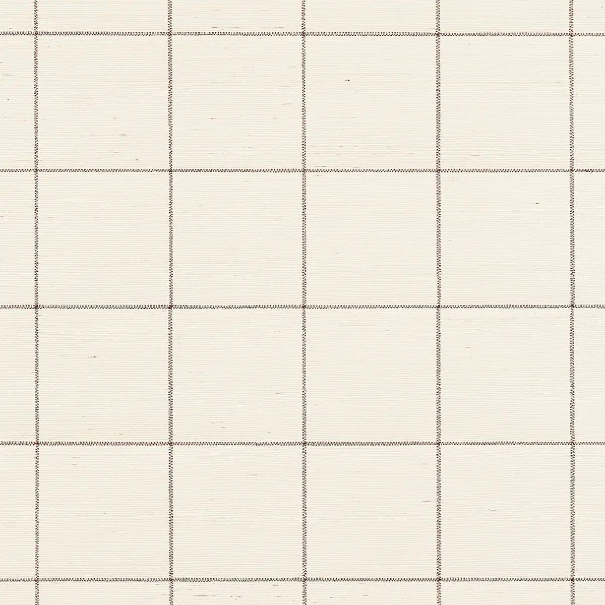 Checks and Stripes by Schumacher 5015201