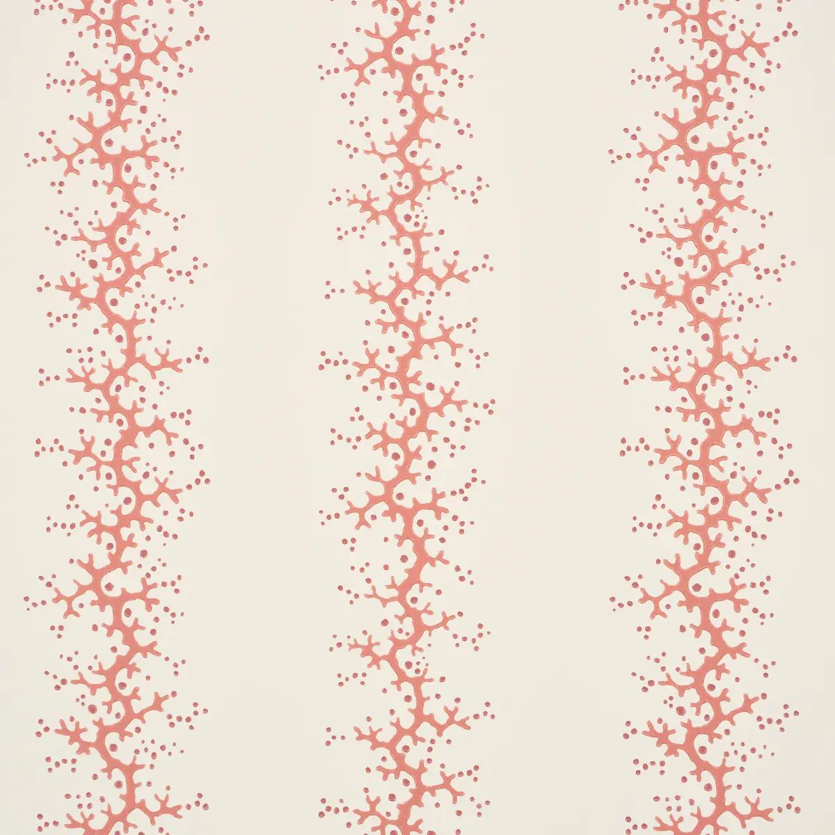 Coral Stripe in Coral