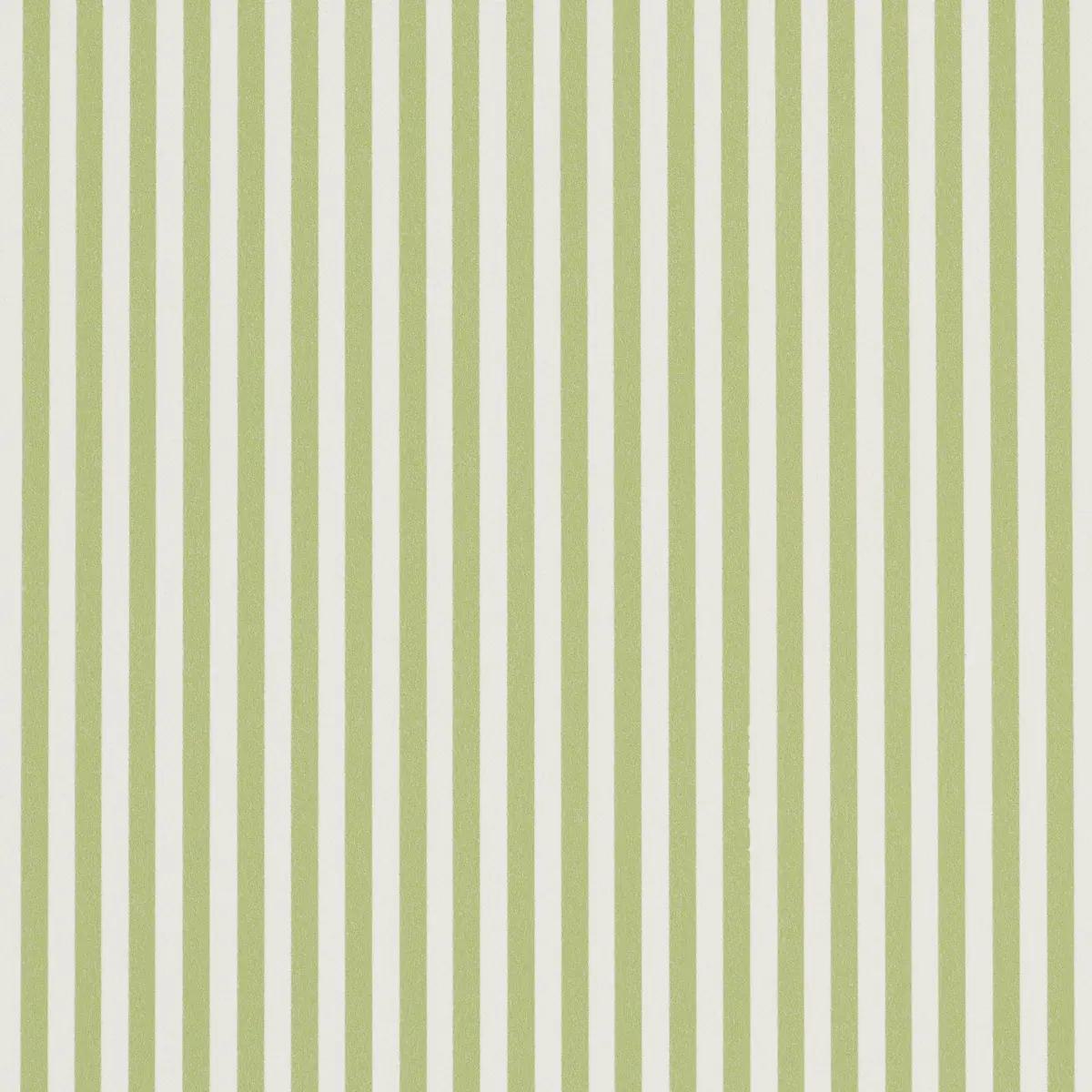 Checks and Stripes by Schumacher 5017193