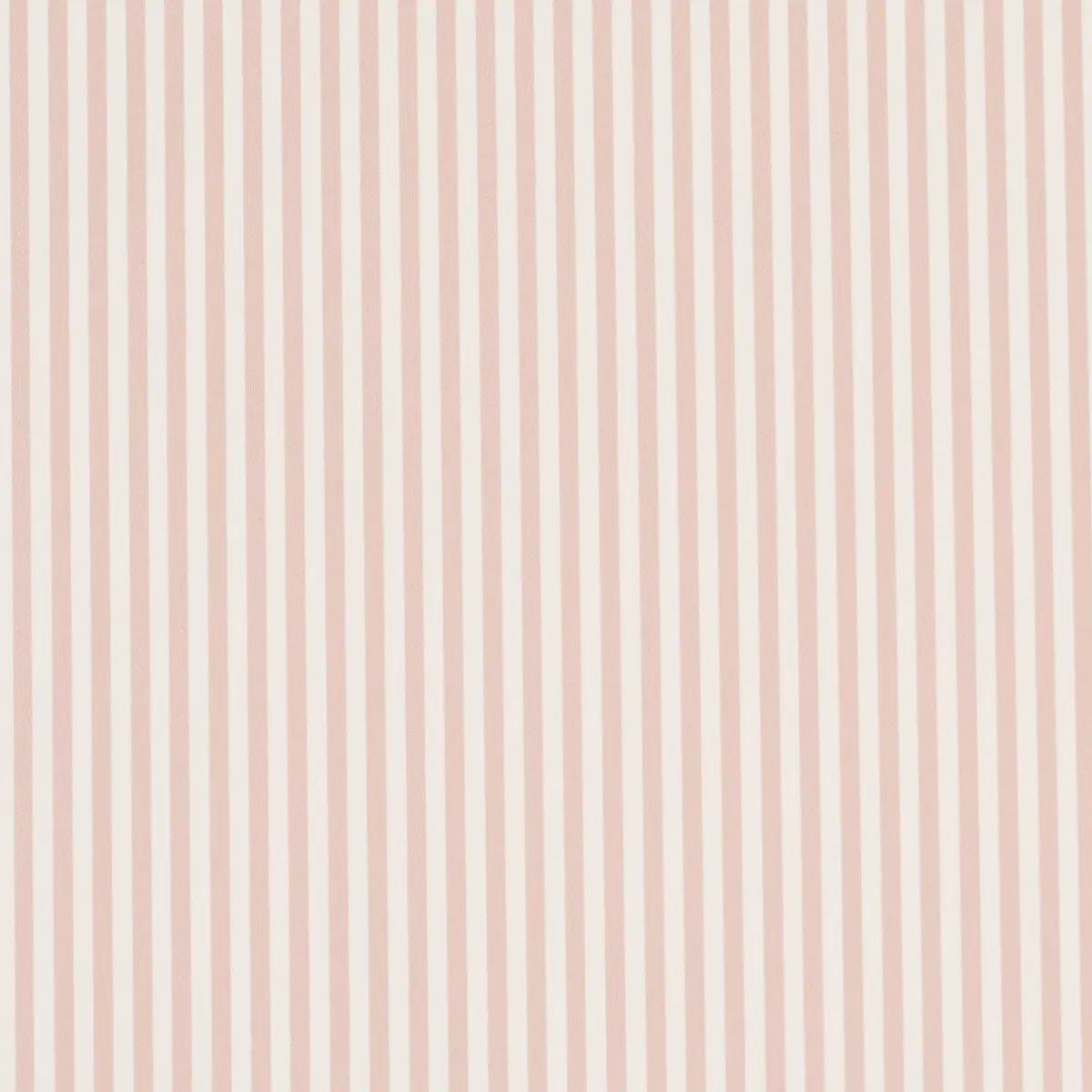 Emma Stripe Narrow in Blush