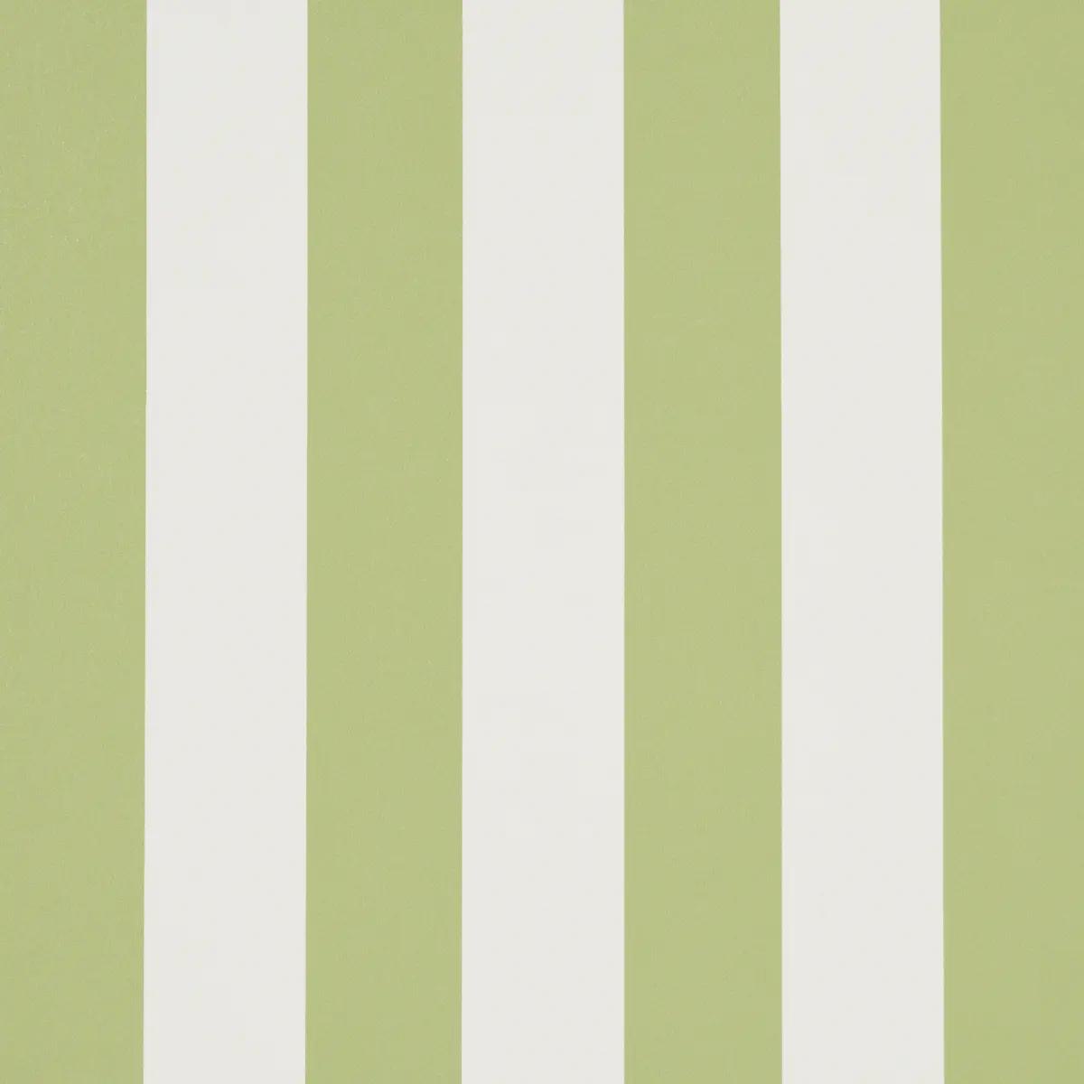 Emma Stripe in Leaf