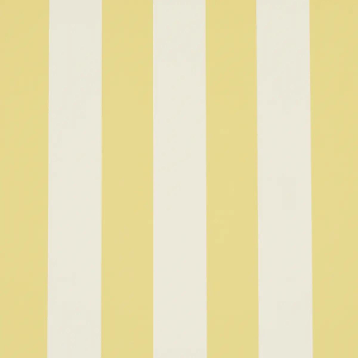 Checks and Stripes by Schumacher 5017217