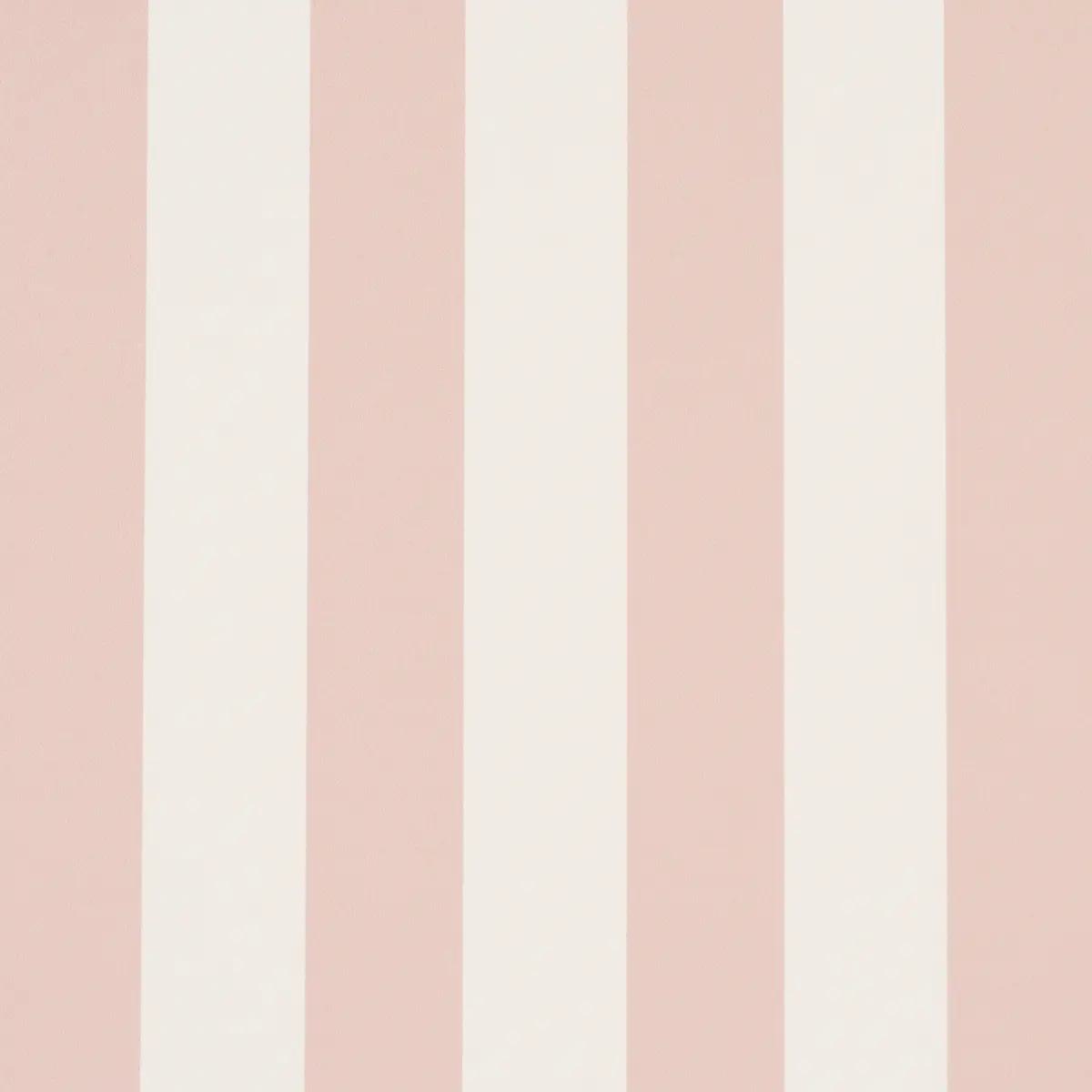 Emma Stripe in Blush