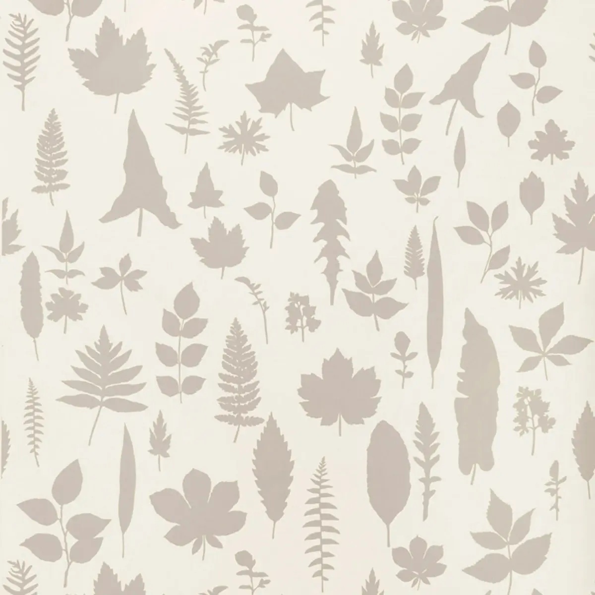 Florals and Botanicals by Schumacher 5005020