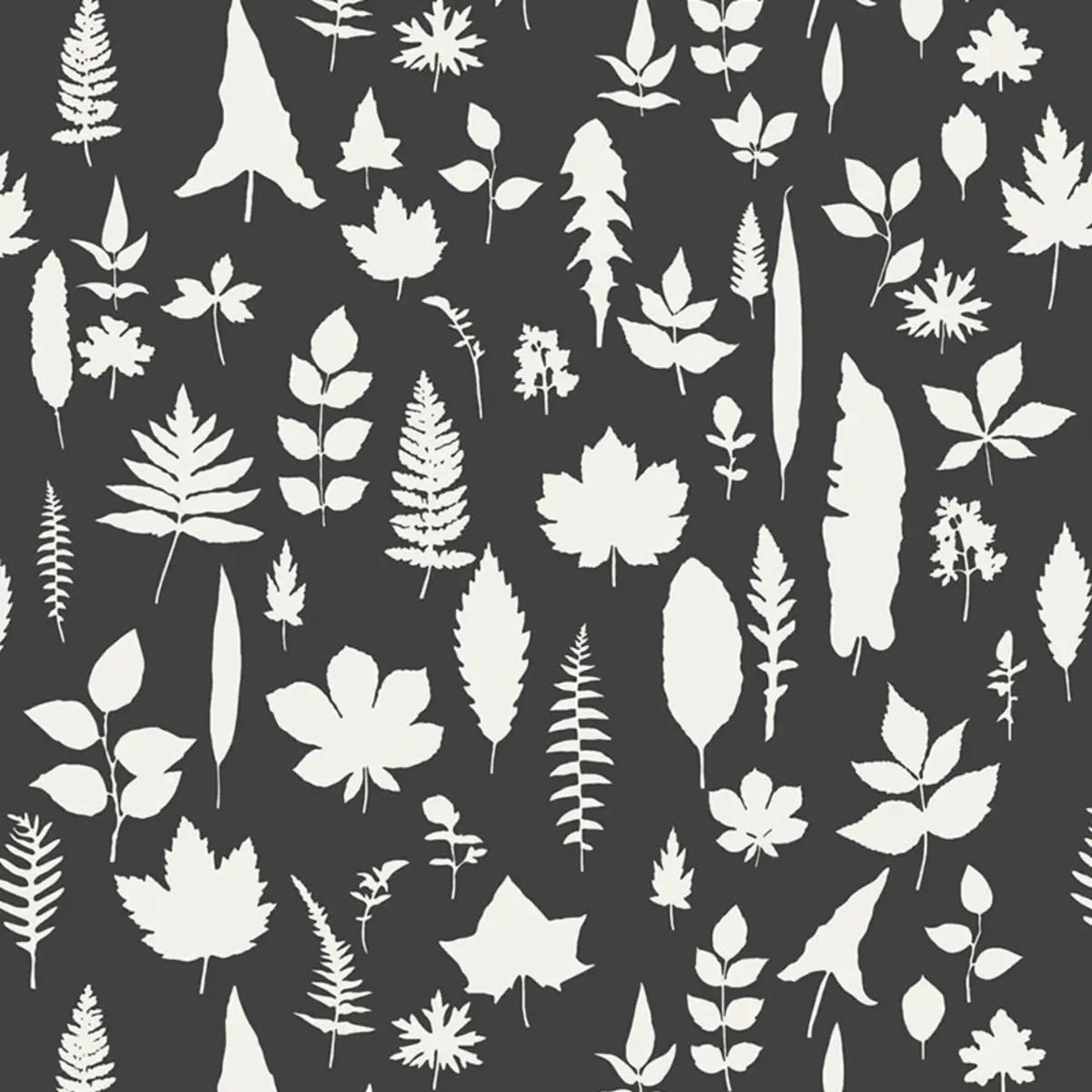 Leaves in Graphite