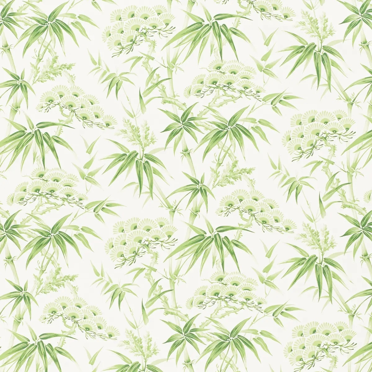 Florals and Botanicals by Schumacher 5009141