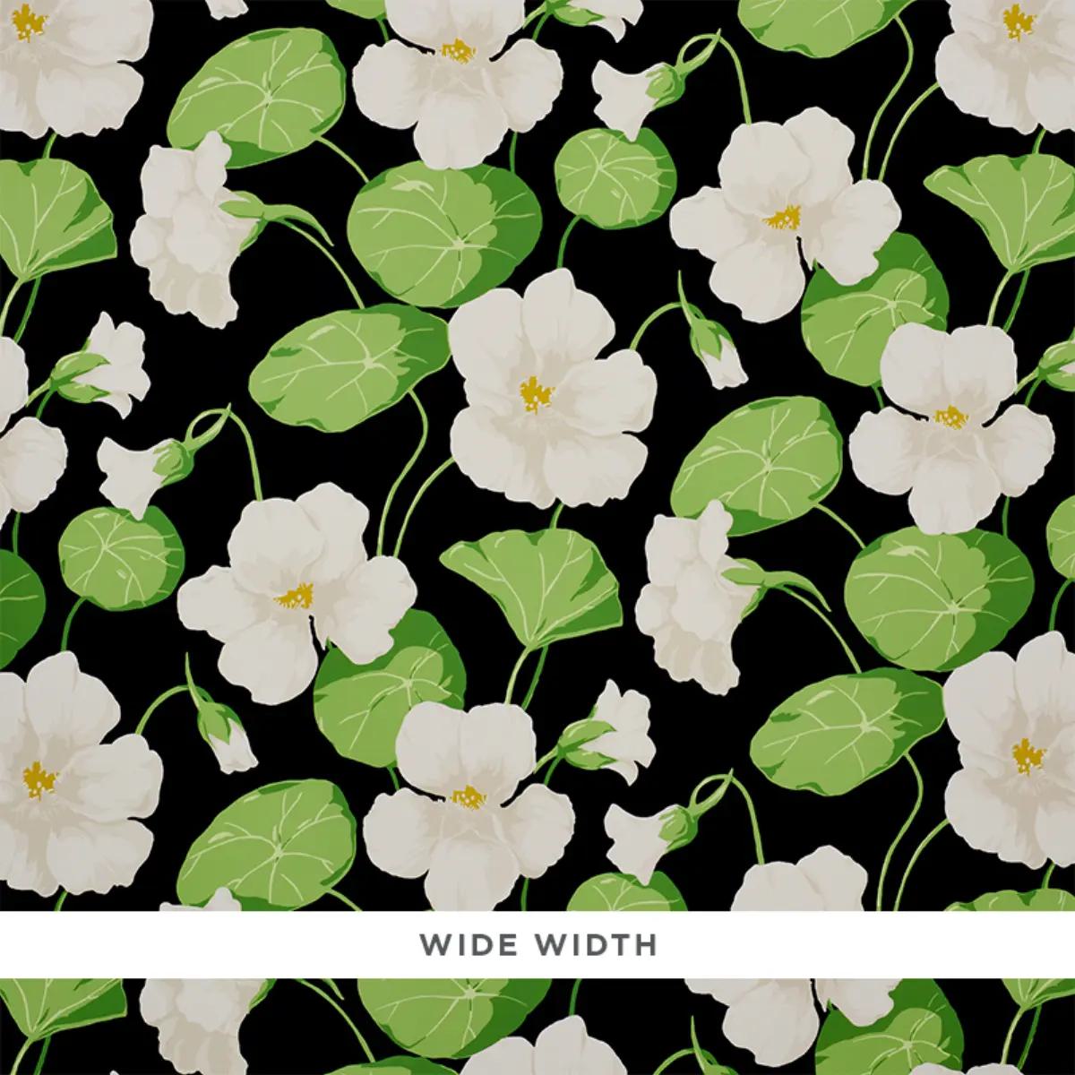 Nasturtium in Noir