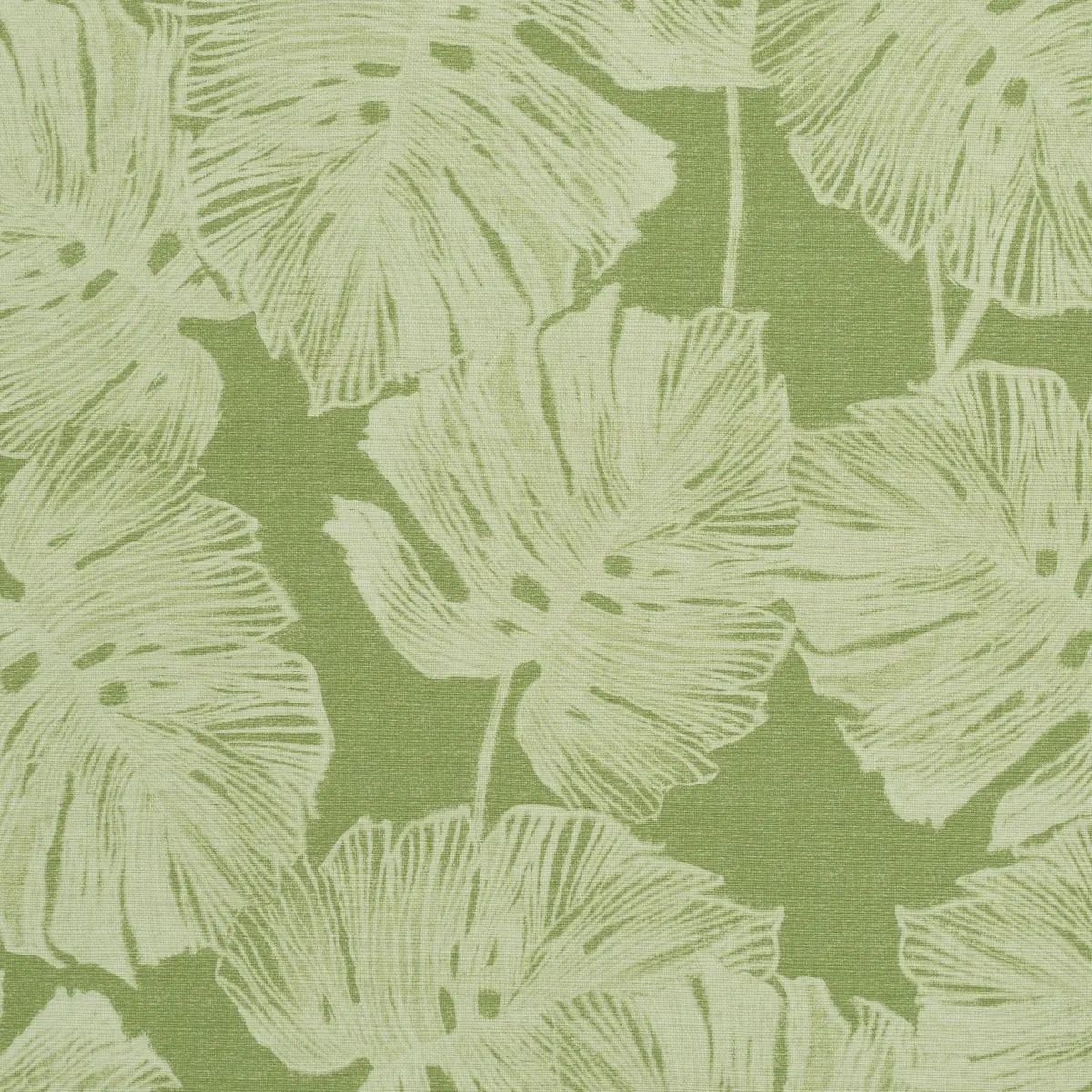 Florals and Botanicals by Schumacher 5011640