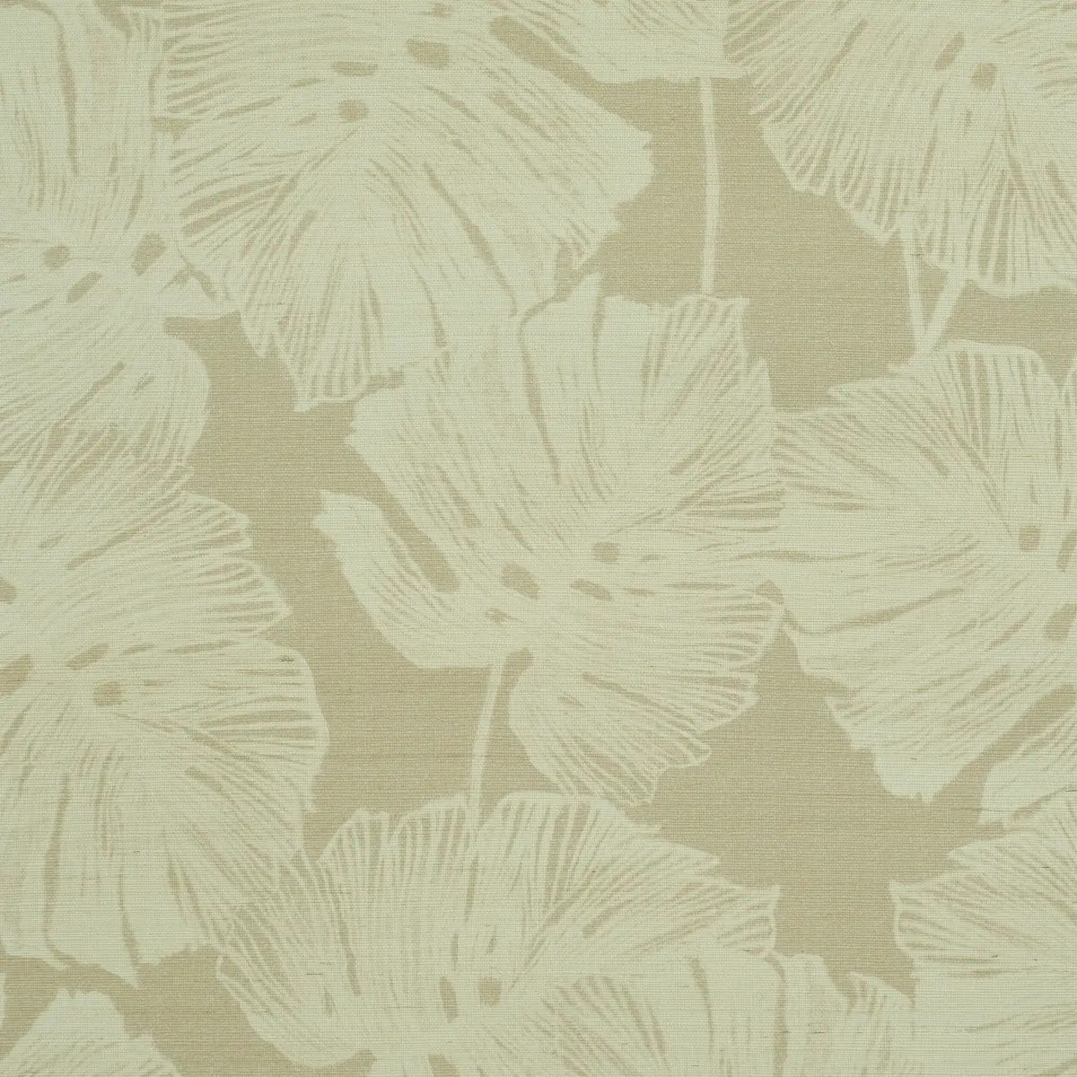 Florals and Botanicals by Schumacher 5011641