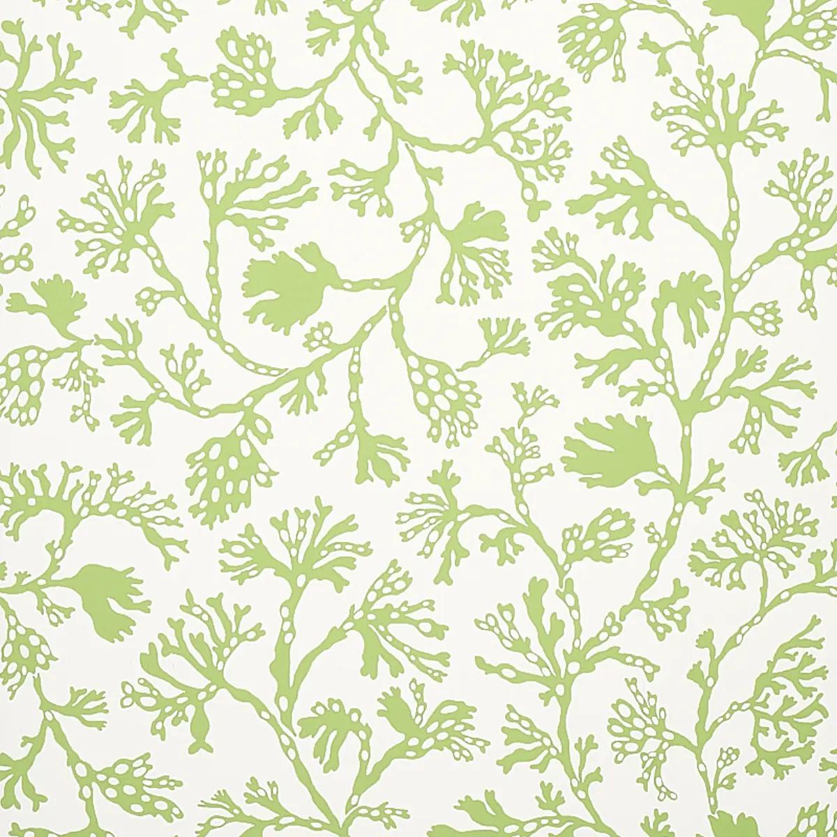 Florals and Botanicals by Schumacher 5012131