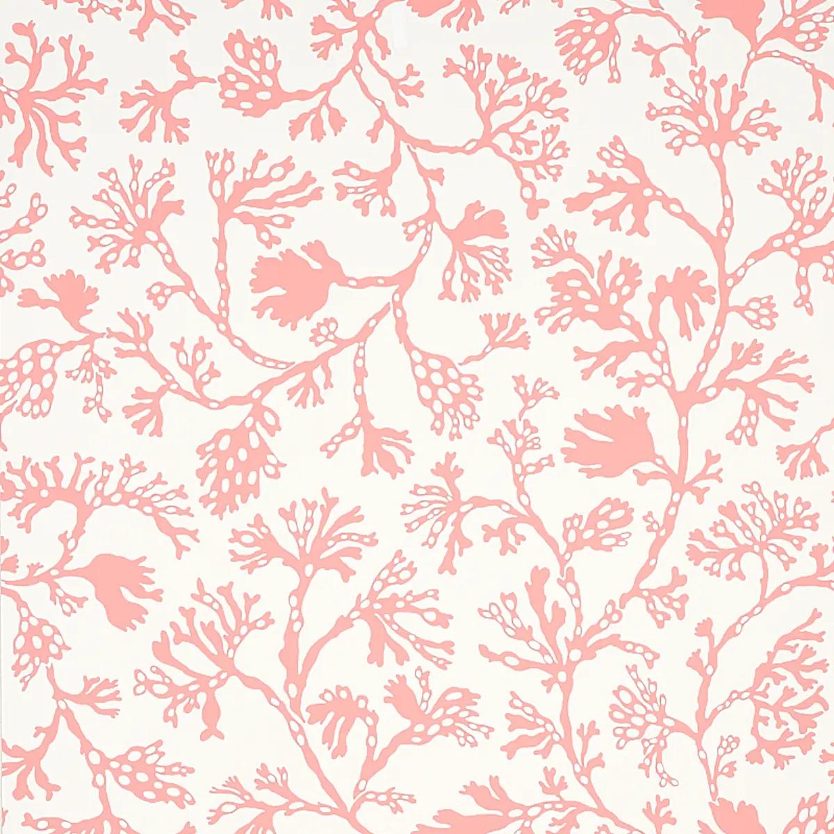 Florals and Botanicals by Schumacher 5012132