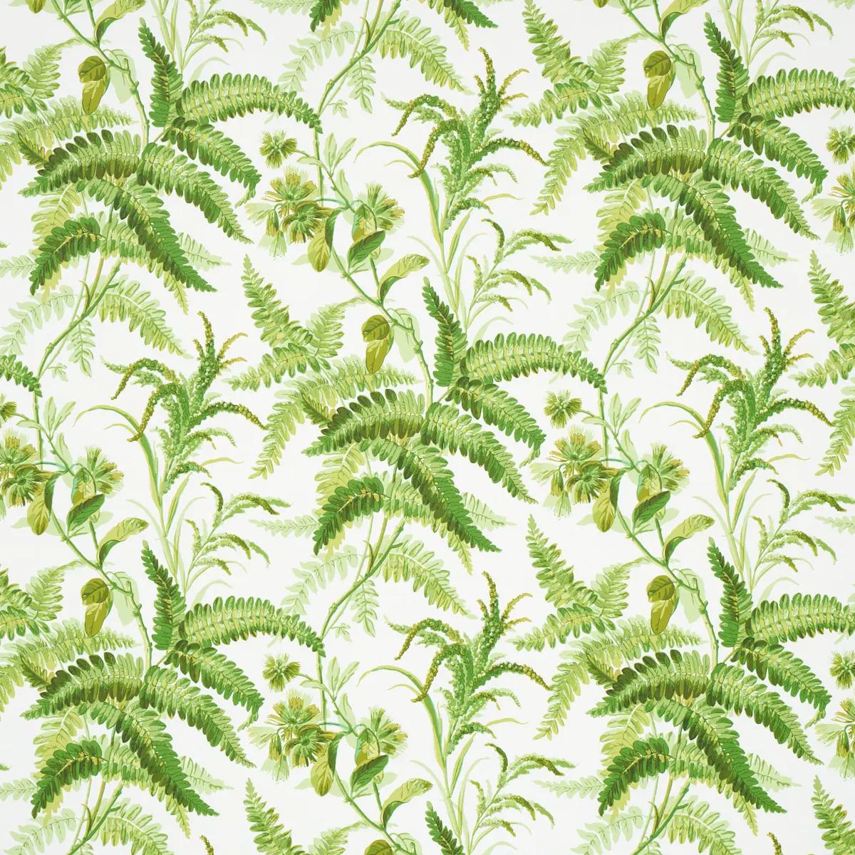 Florals and Botanicals by Schumacher 5013231