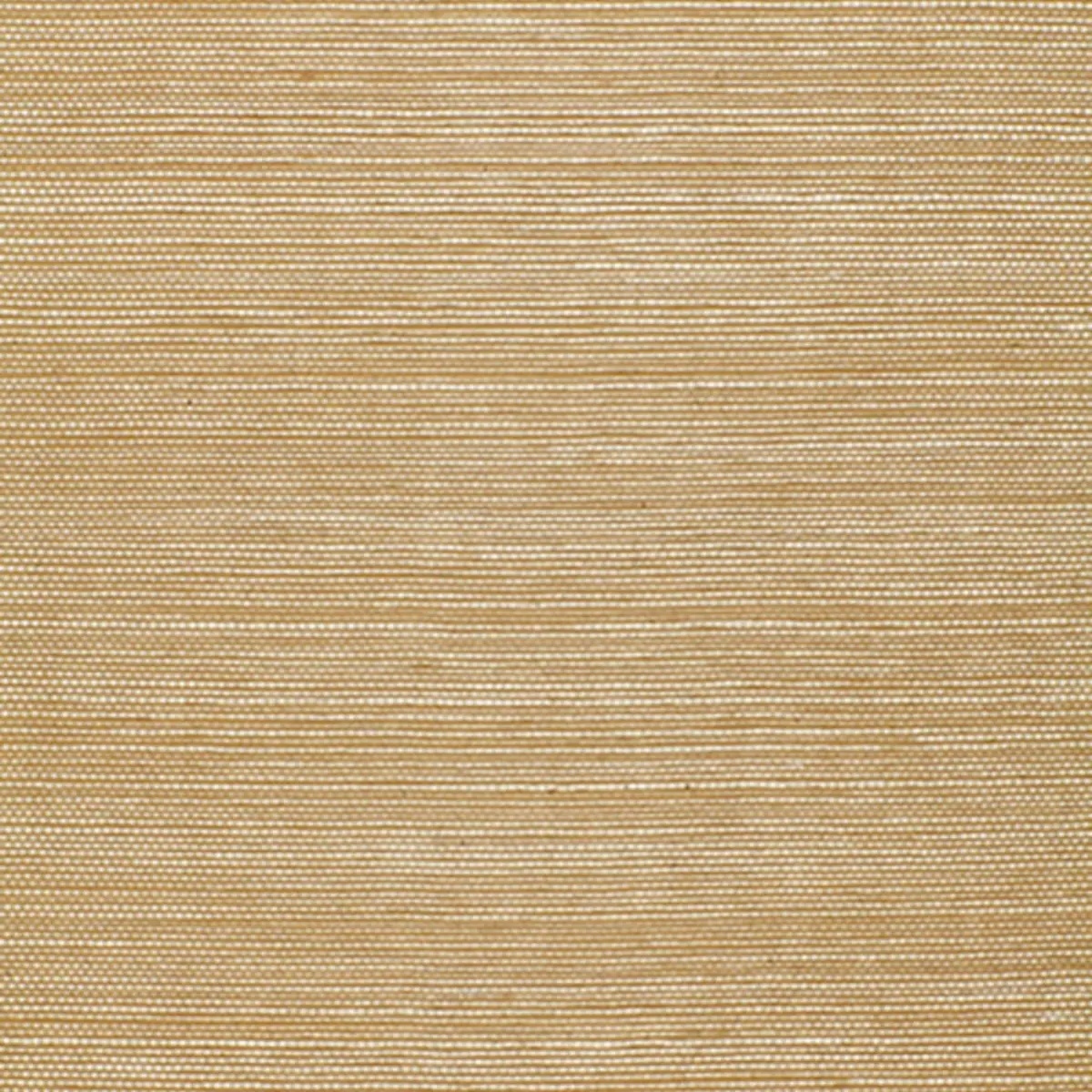 Schumacher X Backdrop Collaboration 5004701