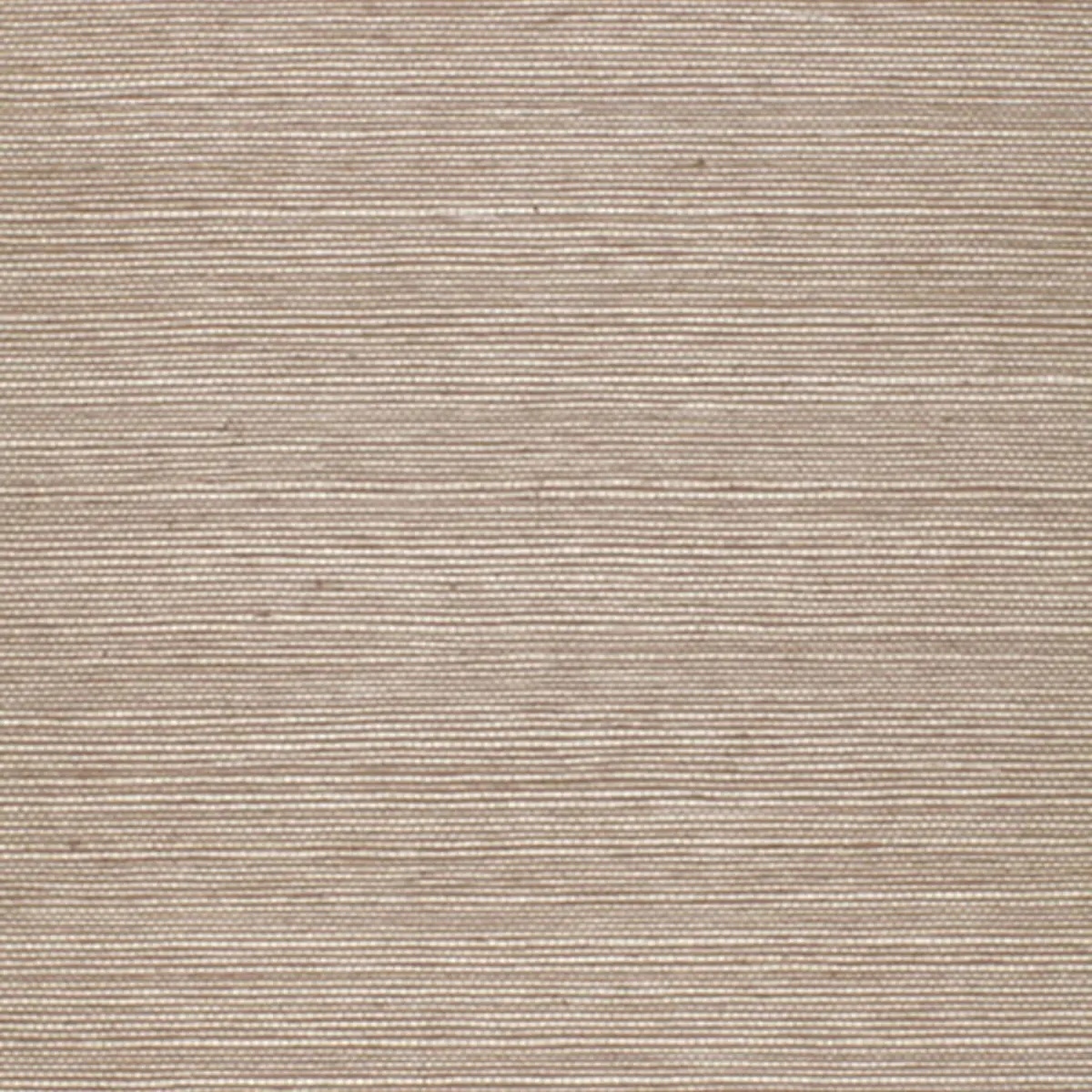 Schumacher X Backdrop Collaboration 5004703