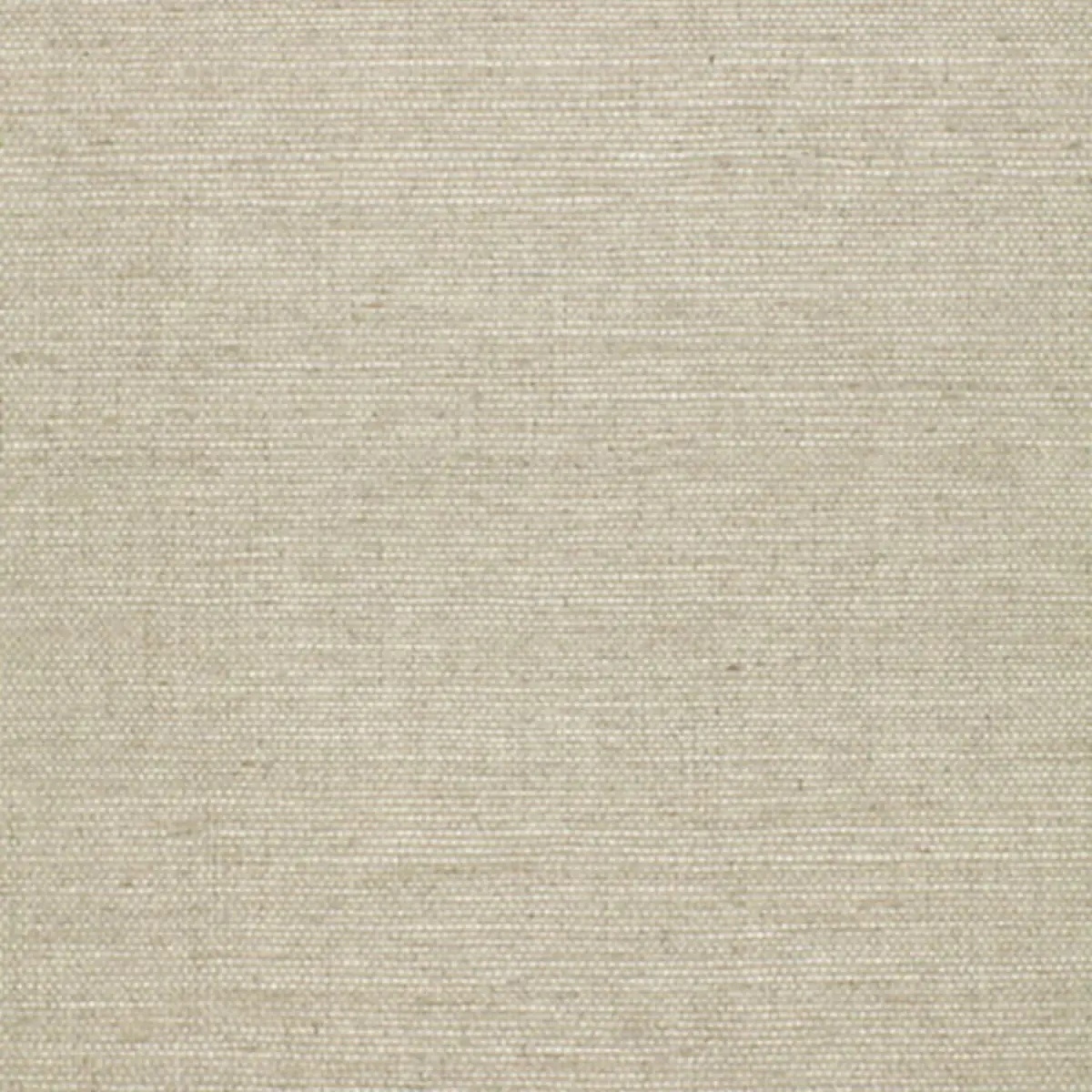 Schumacher X Backdrop Collaboration 5004704