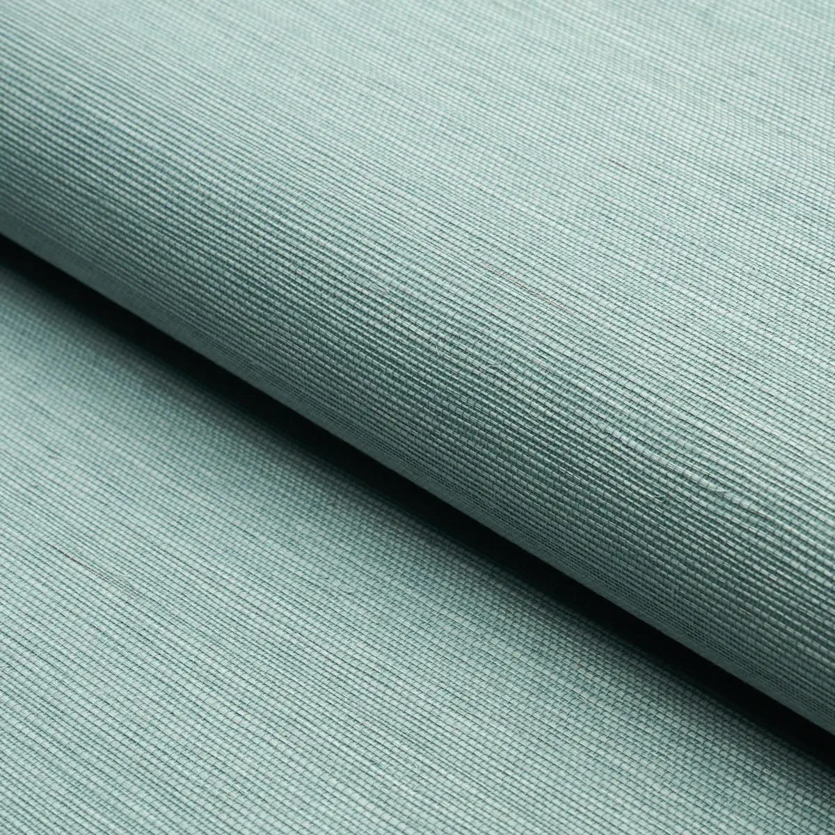 Schumacher X Backdrop Collaboration 5004705