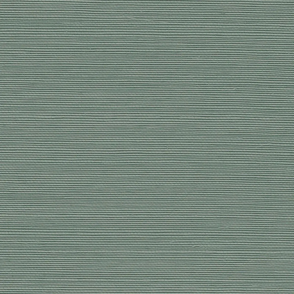Schumacher X Backdrop Collaboration 5004707