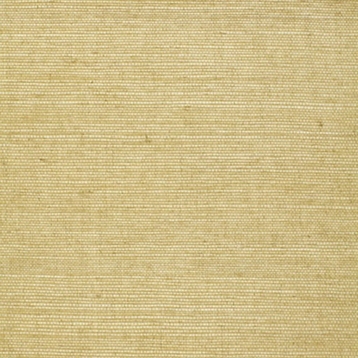 Schumacher X Backdrop Collaboration 5004708