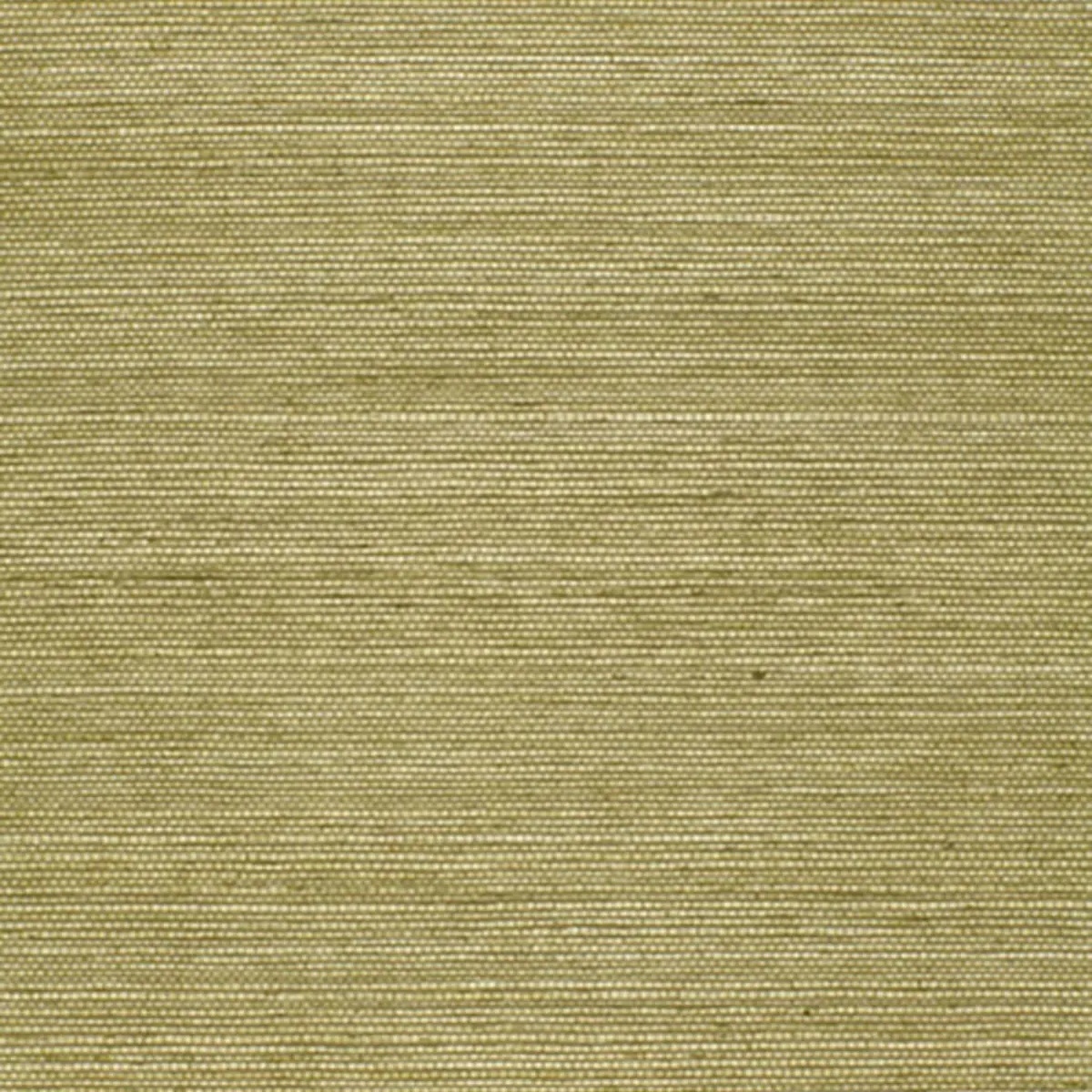 Schumacher X Backdrop Collaboration 5004709