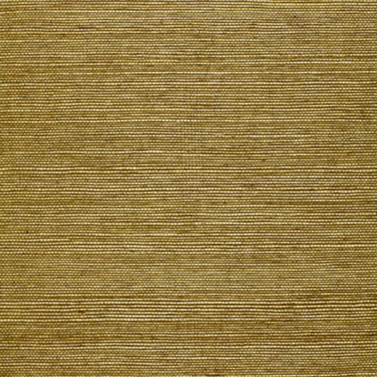 Schumacher X Backdrop Collaboration 5004710