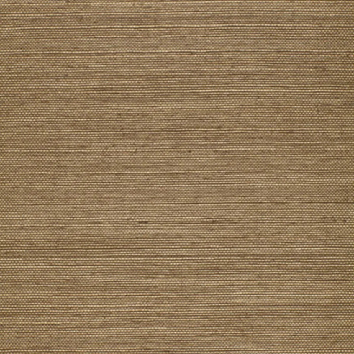 Schumacher X Backdrop Collaboration 5004711