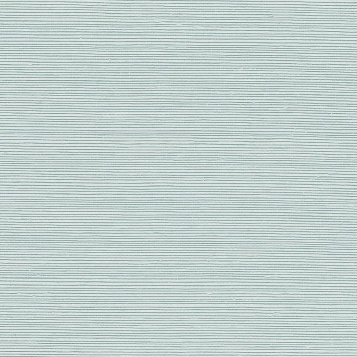 Schumacher X Backdrop Collaboration 5004713