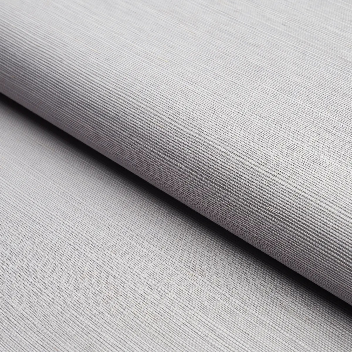 Schumacher X Backdrop Collaboration 5004714