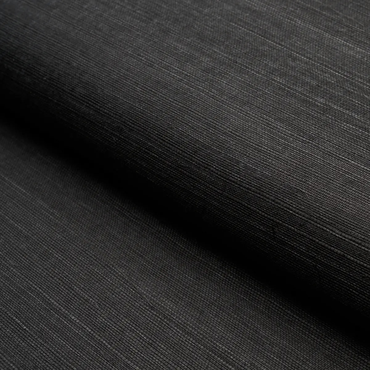 Schumacher X Backdrop Collaboration 5004715