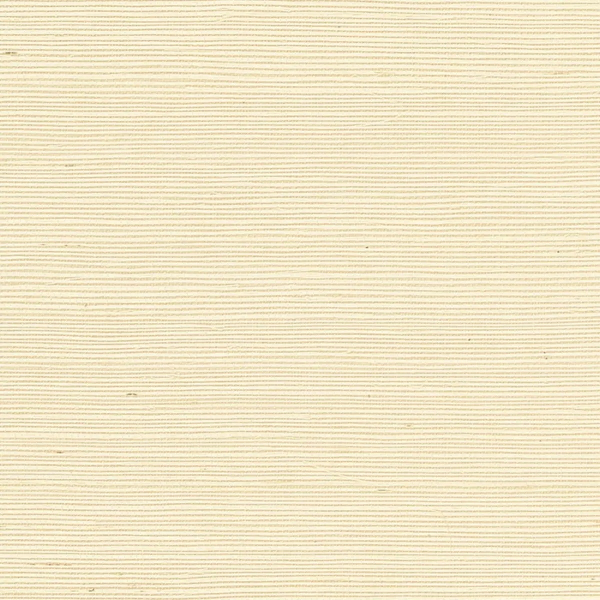 Schumacher X Backdrop Collaboration 5004716
