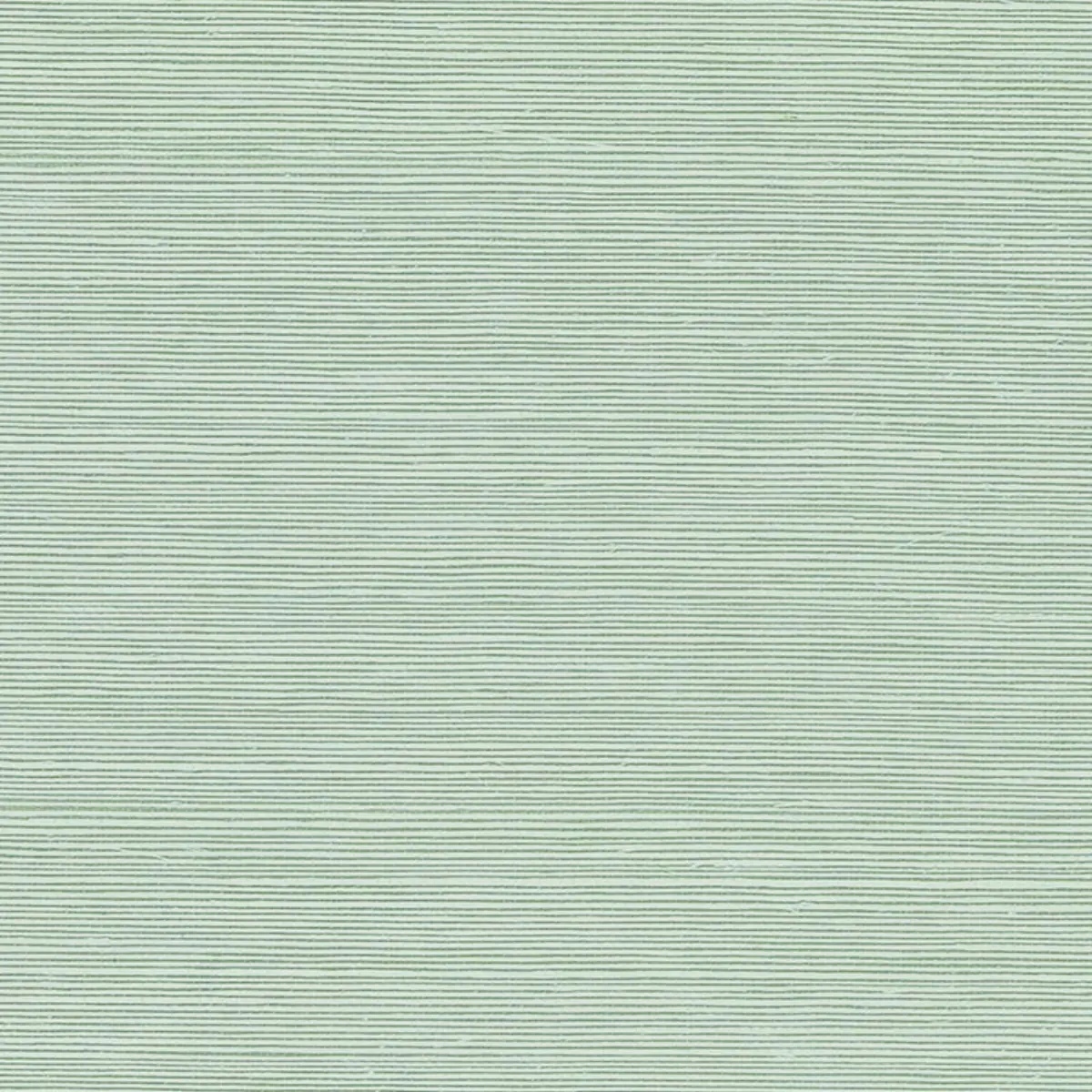 Schumacher X Backdrop Collaboration 5004717