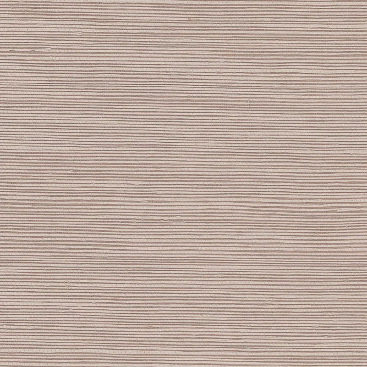 Schumacher X Backdrop Collaboration 5004718
