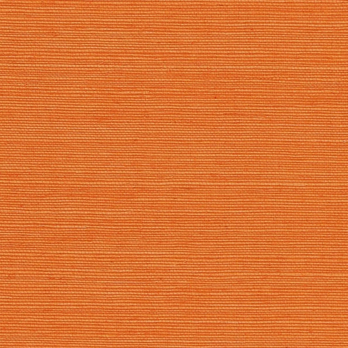 Schumacher X Backdrop Collaboration 5004719