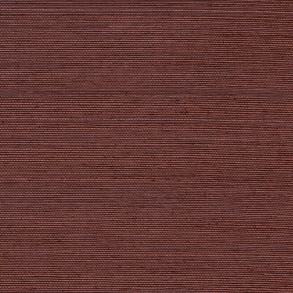 Schumacher X Backdrop Collaboration 5004721