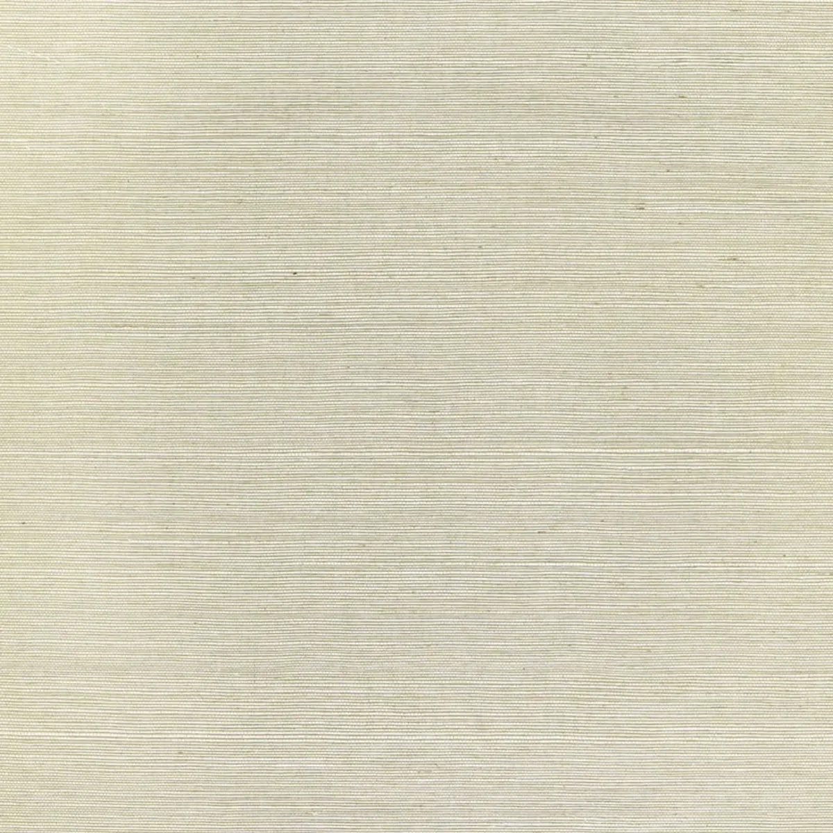 Schumacher X Backdrop Collaboration 5004724