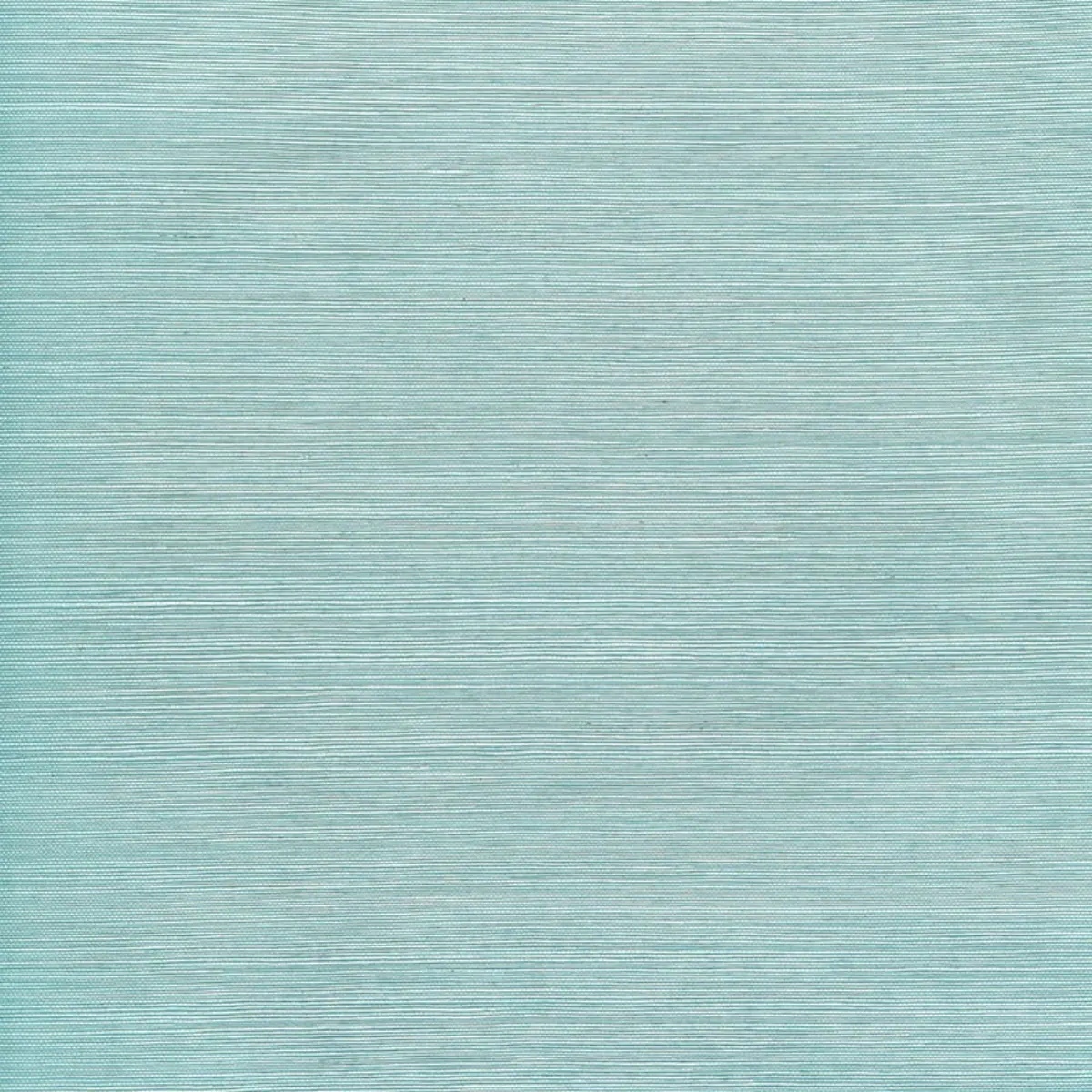 Schumacher X Backdrop Collaboration 5004725
