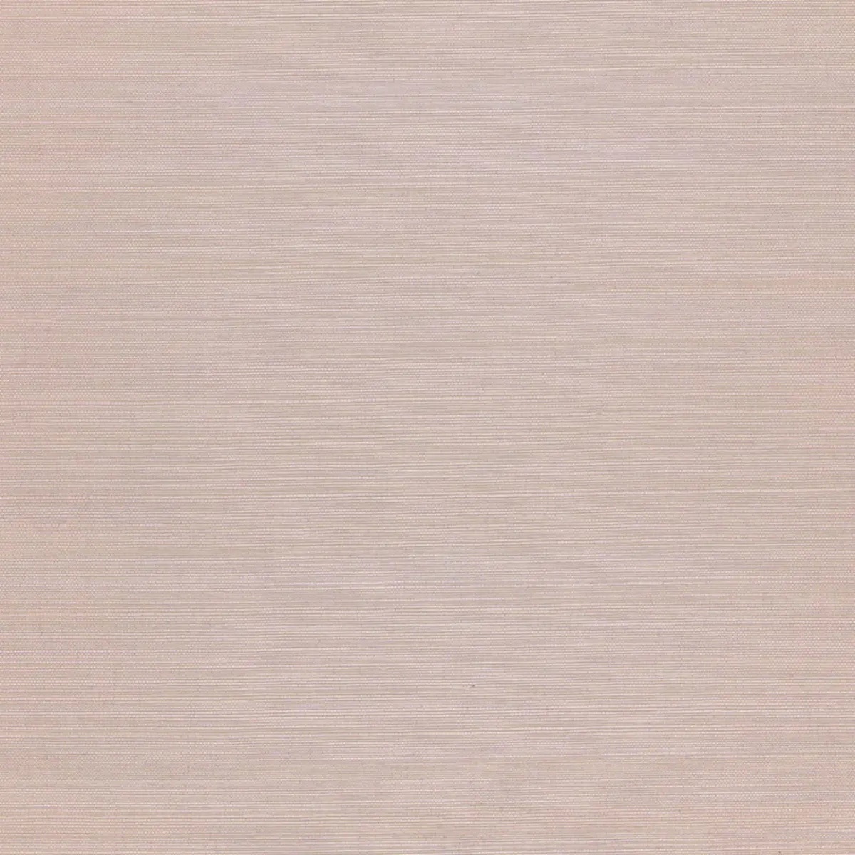Schumacher X Backdrop Collaboration 5004726