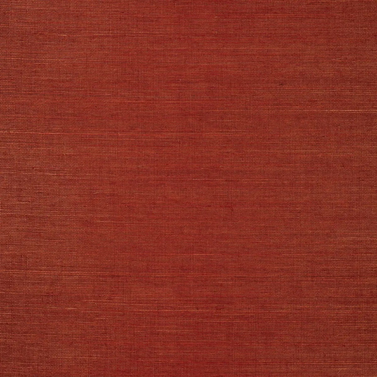 Schumacher X Backdrop Collaboration 5004727