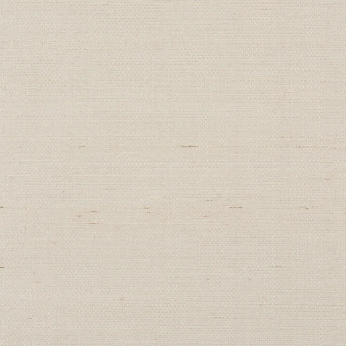 Schumacher X Backdrop Collaboration 5004728