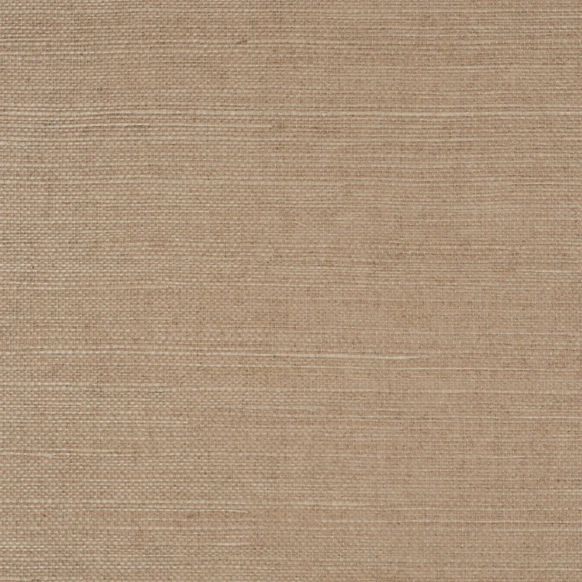 Schumacher X Backdrop Collaboration 5004729