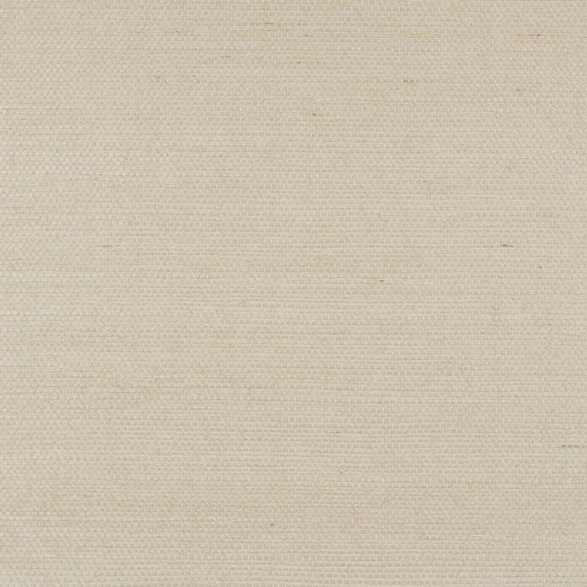 Schumacher X Backdrop Collaboration 5010850